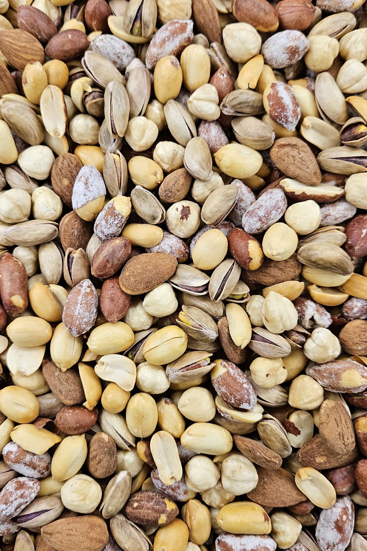 Palmiye Duble Karışık 5 kg Palmiye Gurme