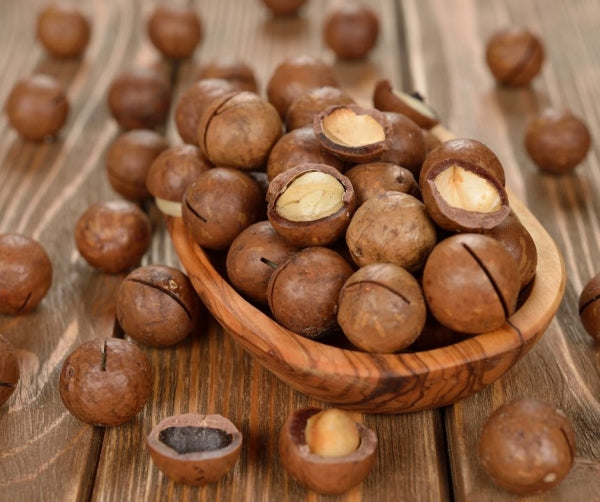 Macadamia Fındığı 500 gr Palmiye Gurme