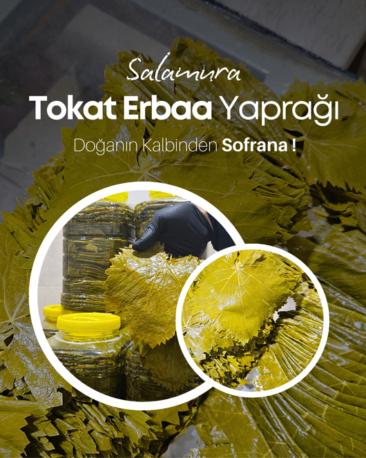 Tokat Erba Salamura Yaprak 1300g Palmiye Gurme
